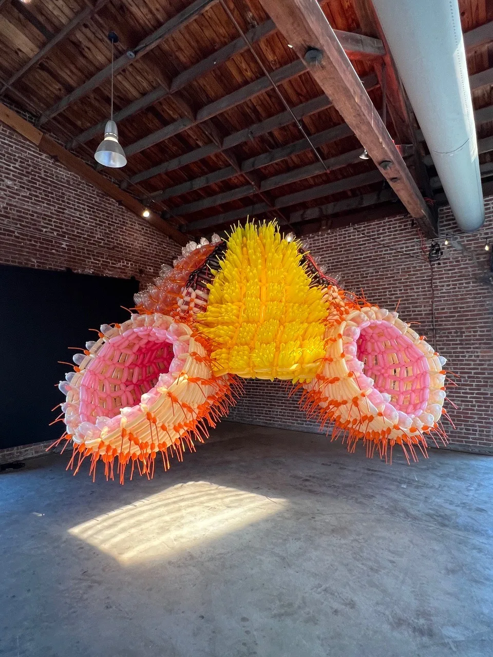 A large hanging sculpture of ribbed coral forms